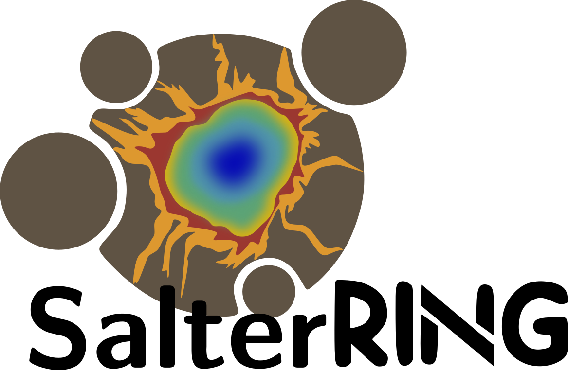 logo salterring