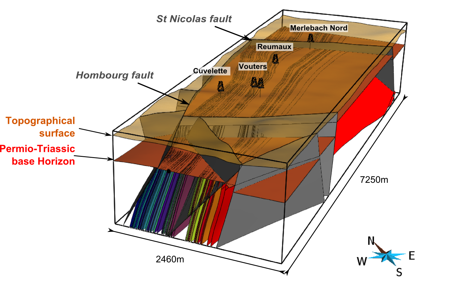 3D surface based model